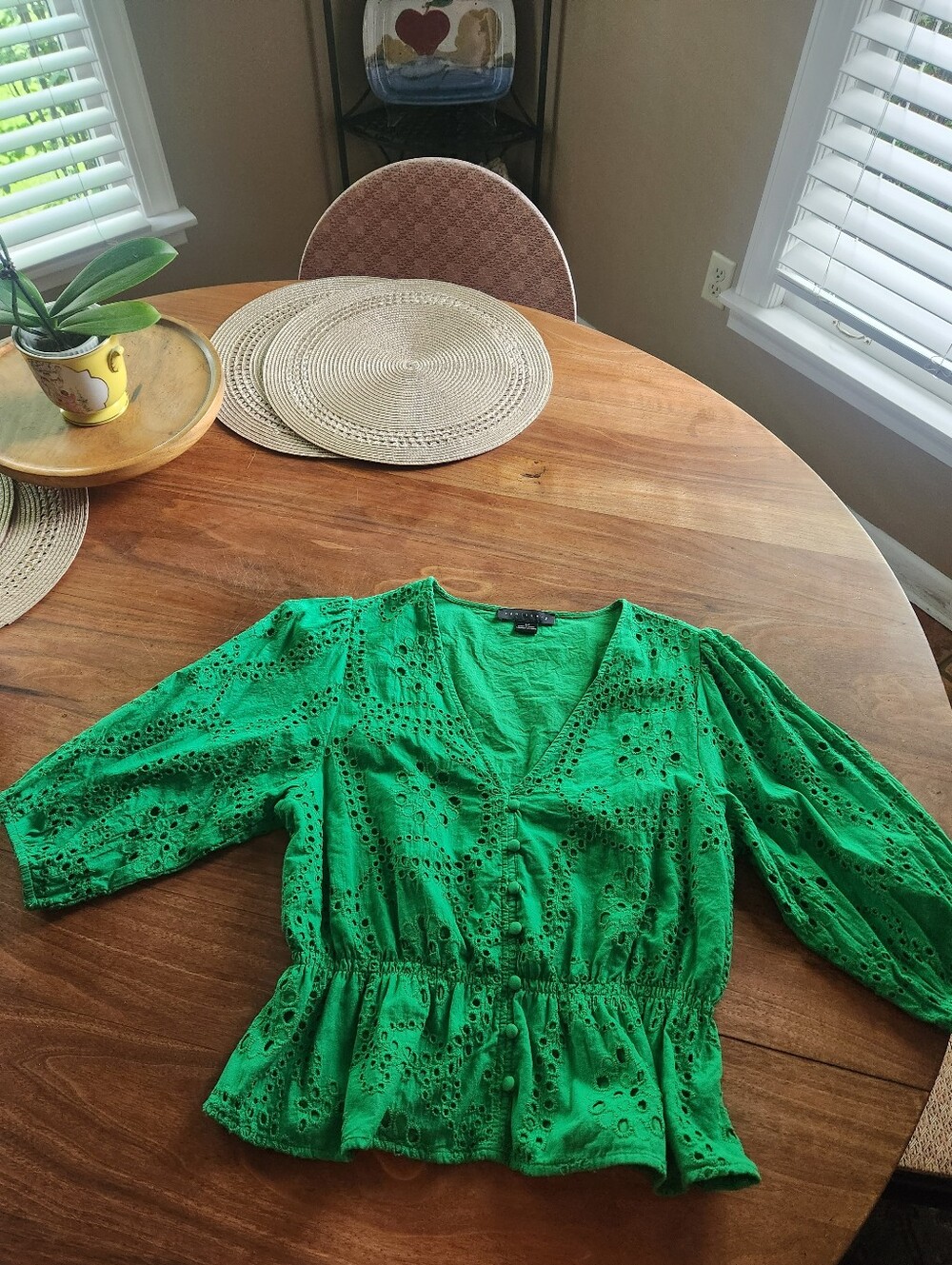 Sanctuary V-neck Green Top With 3/4 Length Sleeves; Size Medium - Picture 6 of 10